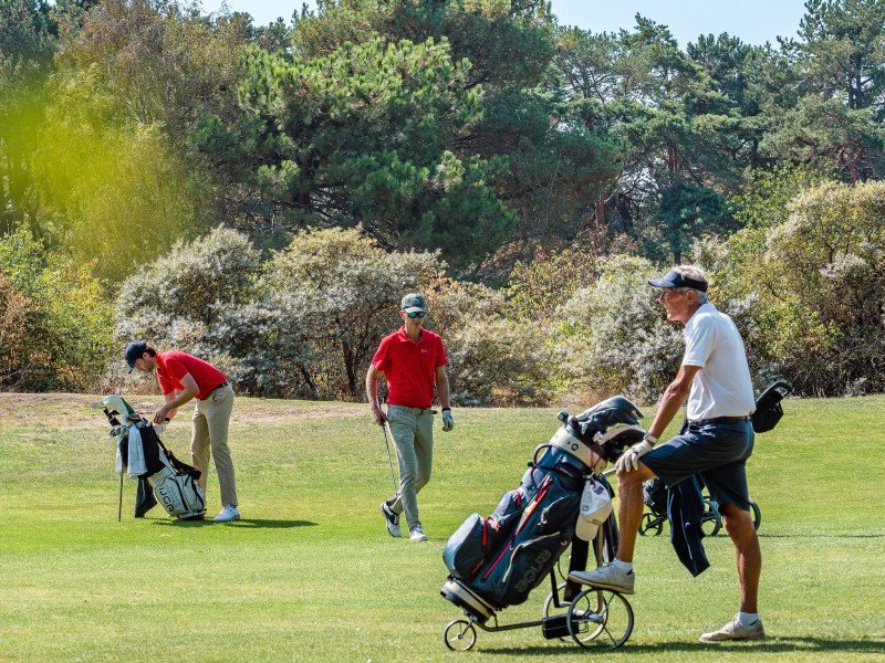 IMMOGOLF 2026