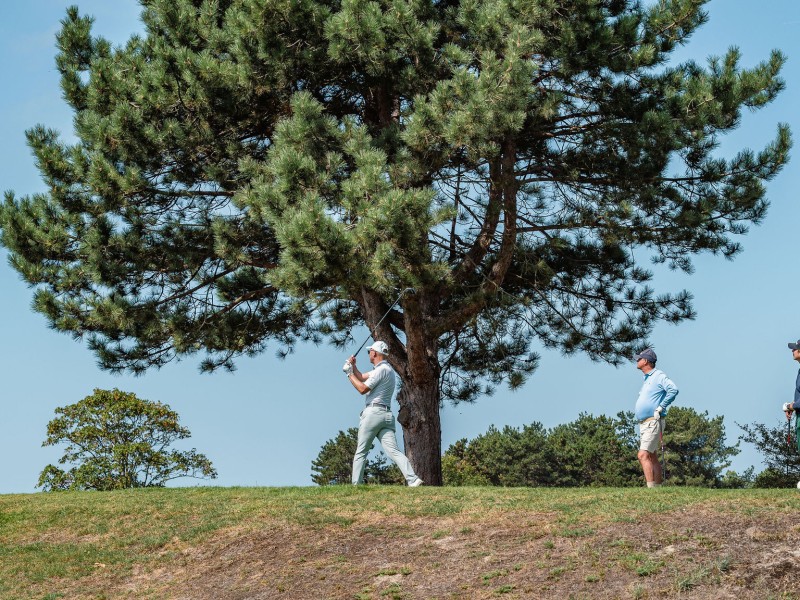 IMMOGOLF 2026